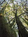 25ste Herfstwandeling van Armand en Judith op 23-10-2011 (41)